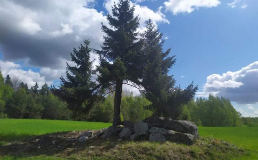 5_Rinkšelių akmuo.jpeg